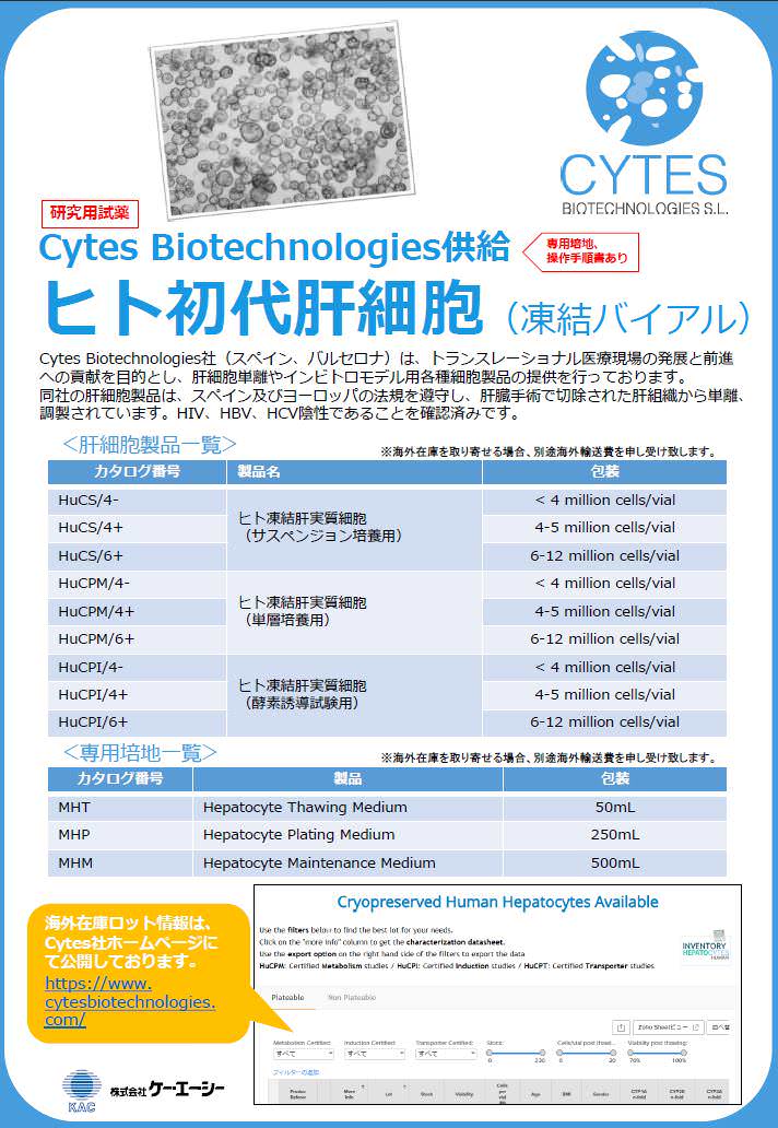 ヒト初代肝細胞（Cytes Biotechnologies供給）