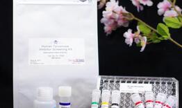 株式会社サクラボサイエンス 研究用試薬・実験キット