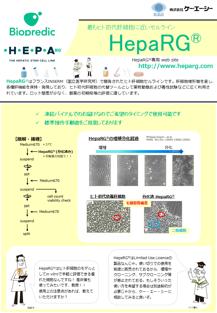 HepaRG®（ヒト肝セルライン）