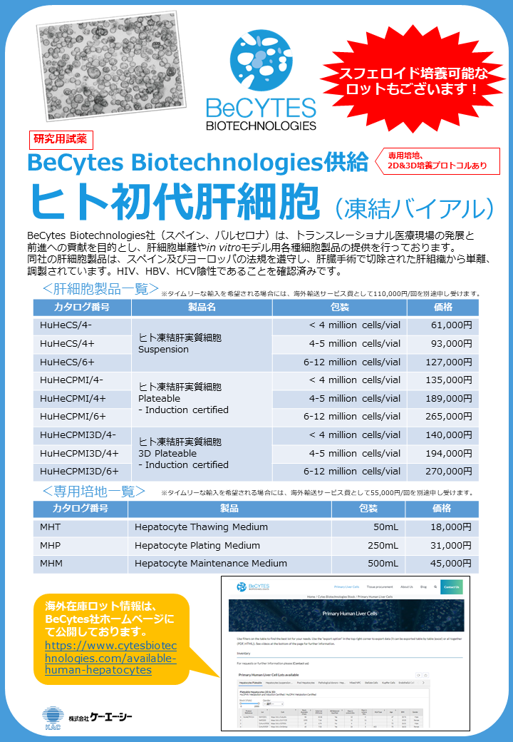 ヒト初代肝細胞（Cytes Biotechnologies供給）