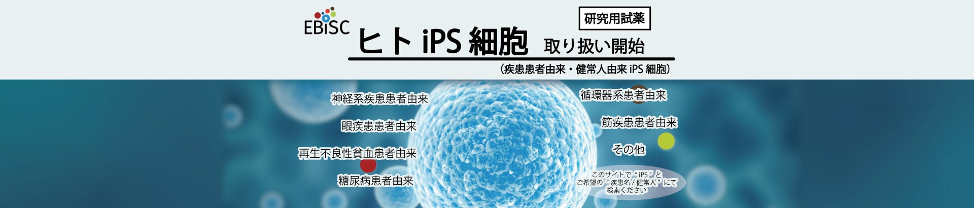 slide image1