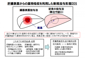 研究・開発の窓│臓器表面からの直接投与法により、抗がん薬の副作用を